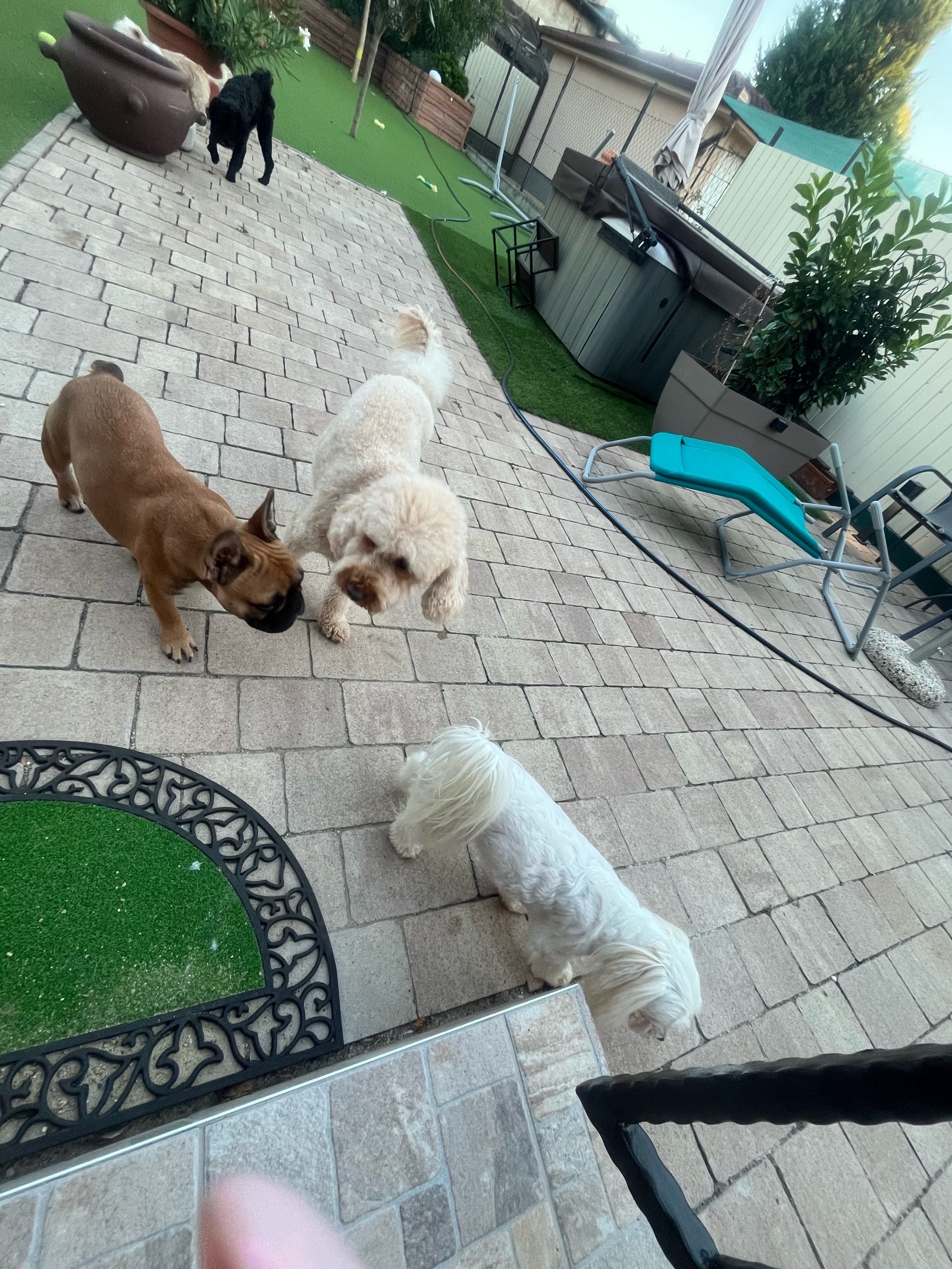 Livia Eszter Solymos galéria