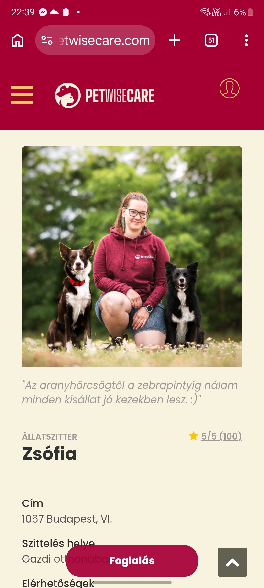 Niedermayer Zsófi galéria