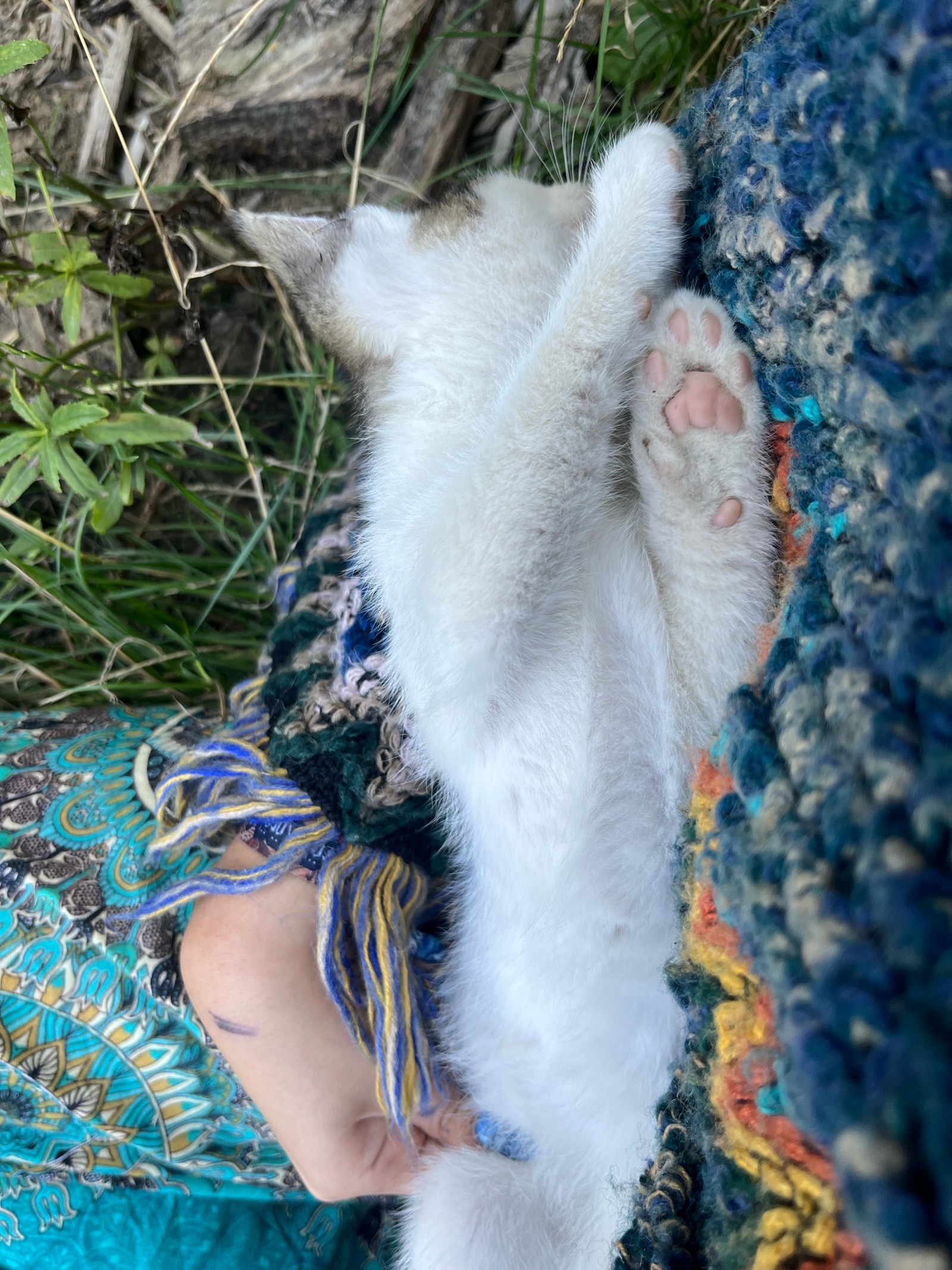 Vécsey Lili galéria