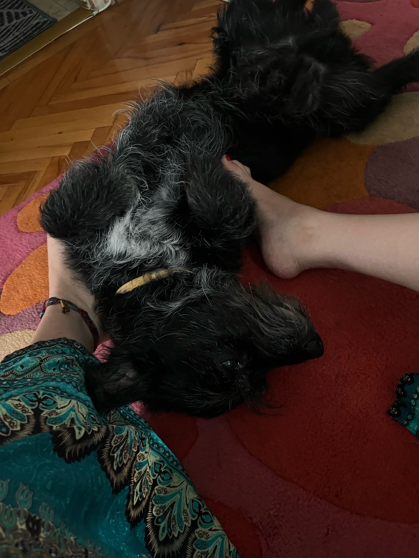 Vécsey Lili galéria