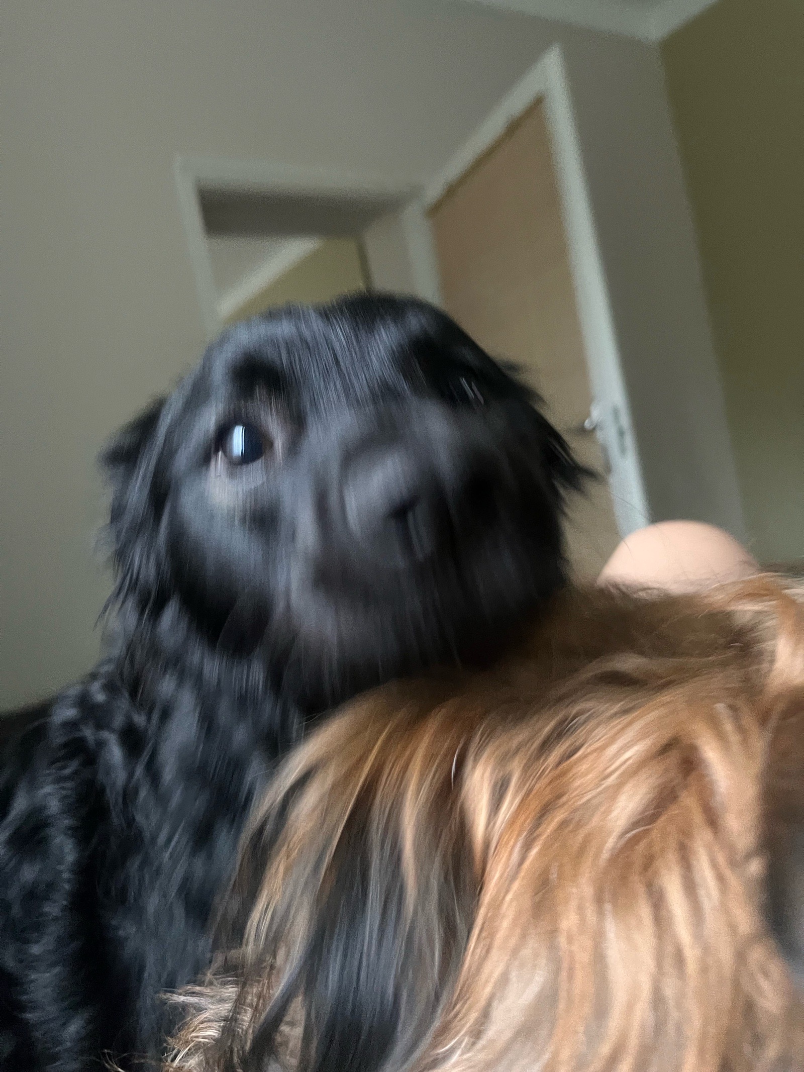 Vécsey Lili galéria