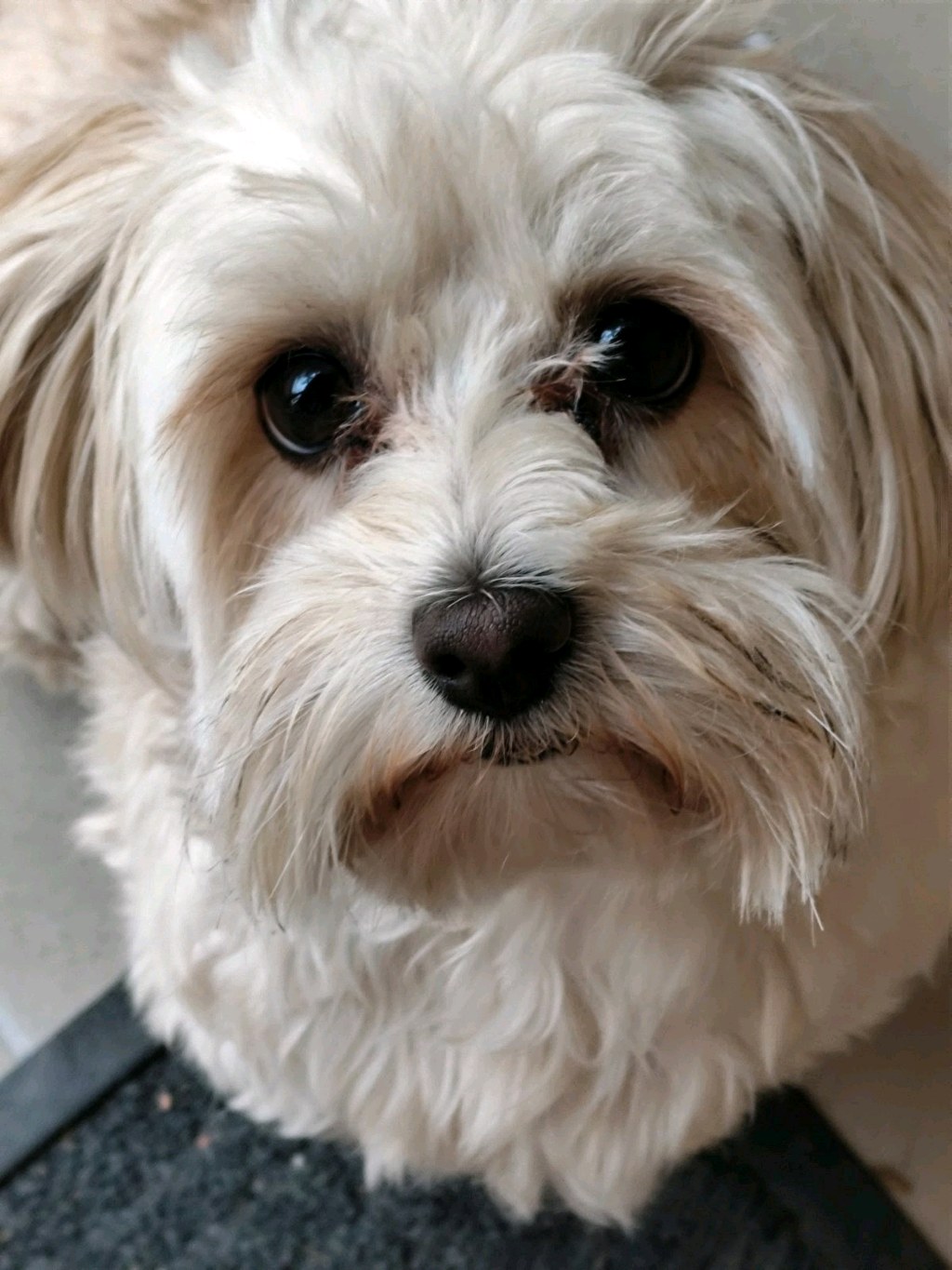 Nina