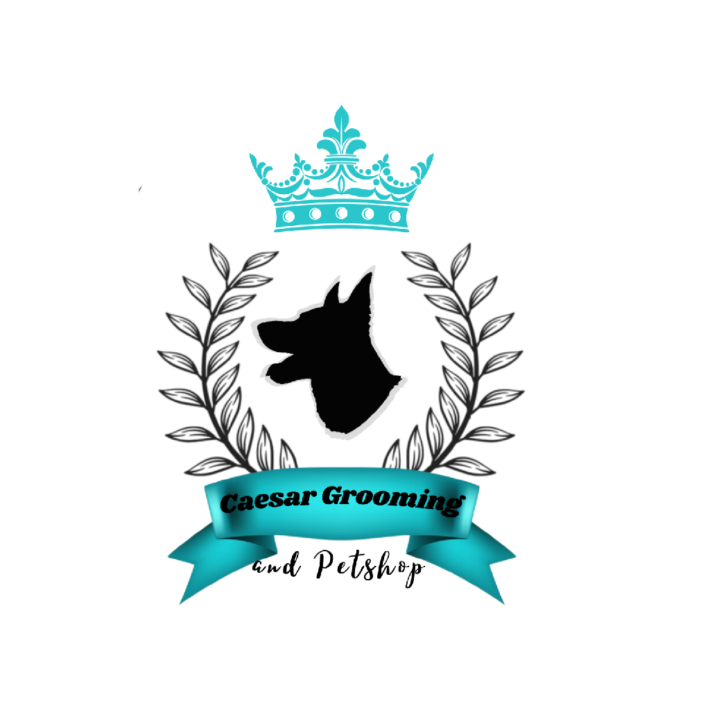 Caesar Grooming & Petshop