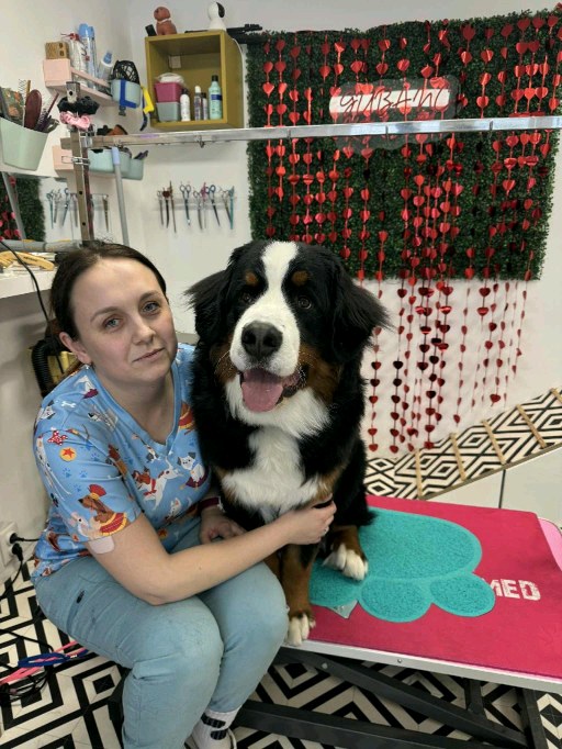 Gubanc kutyakozmetika Százhalombatta