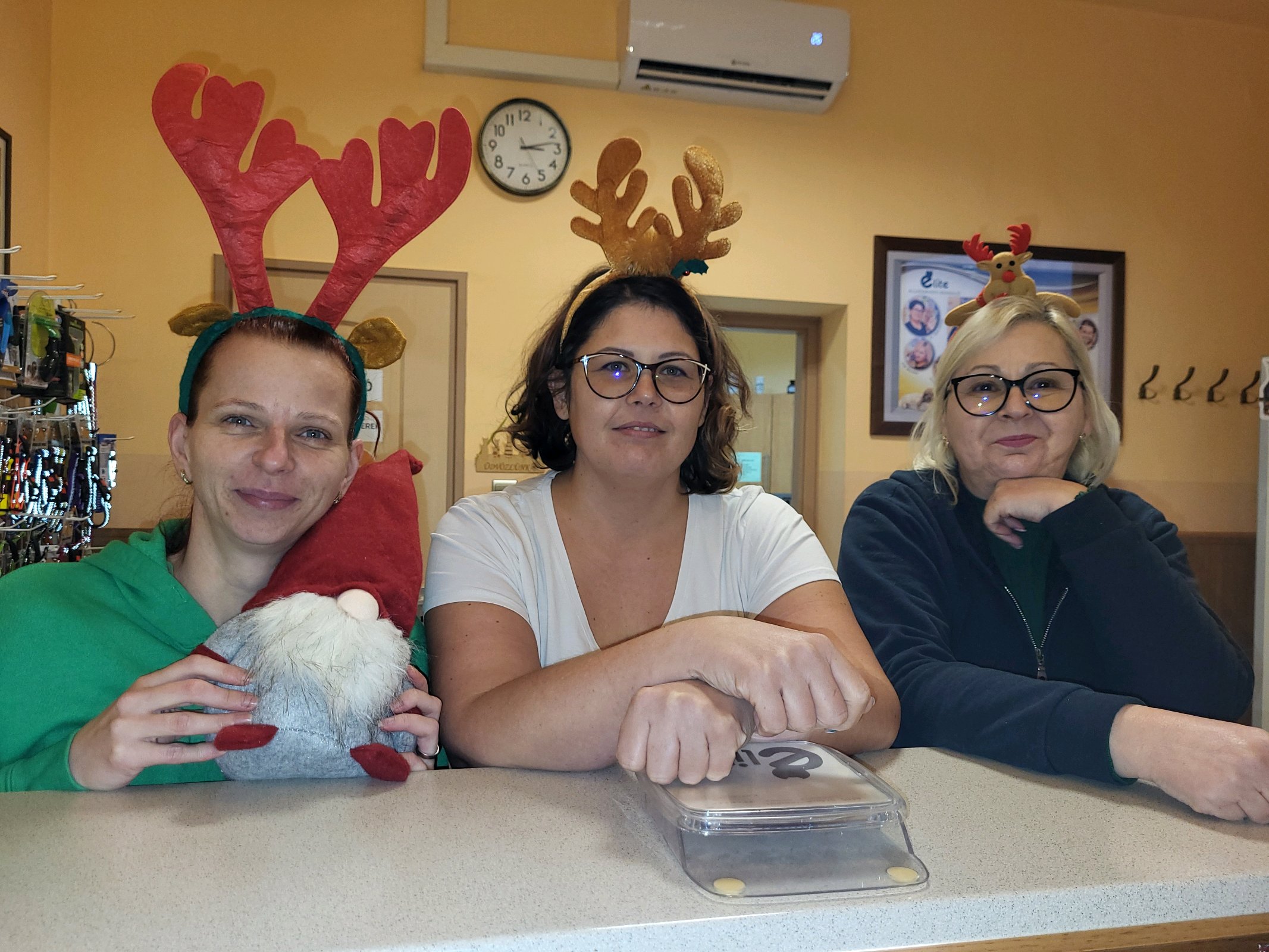 Elite Állatorvosi Rendelő profilképe