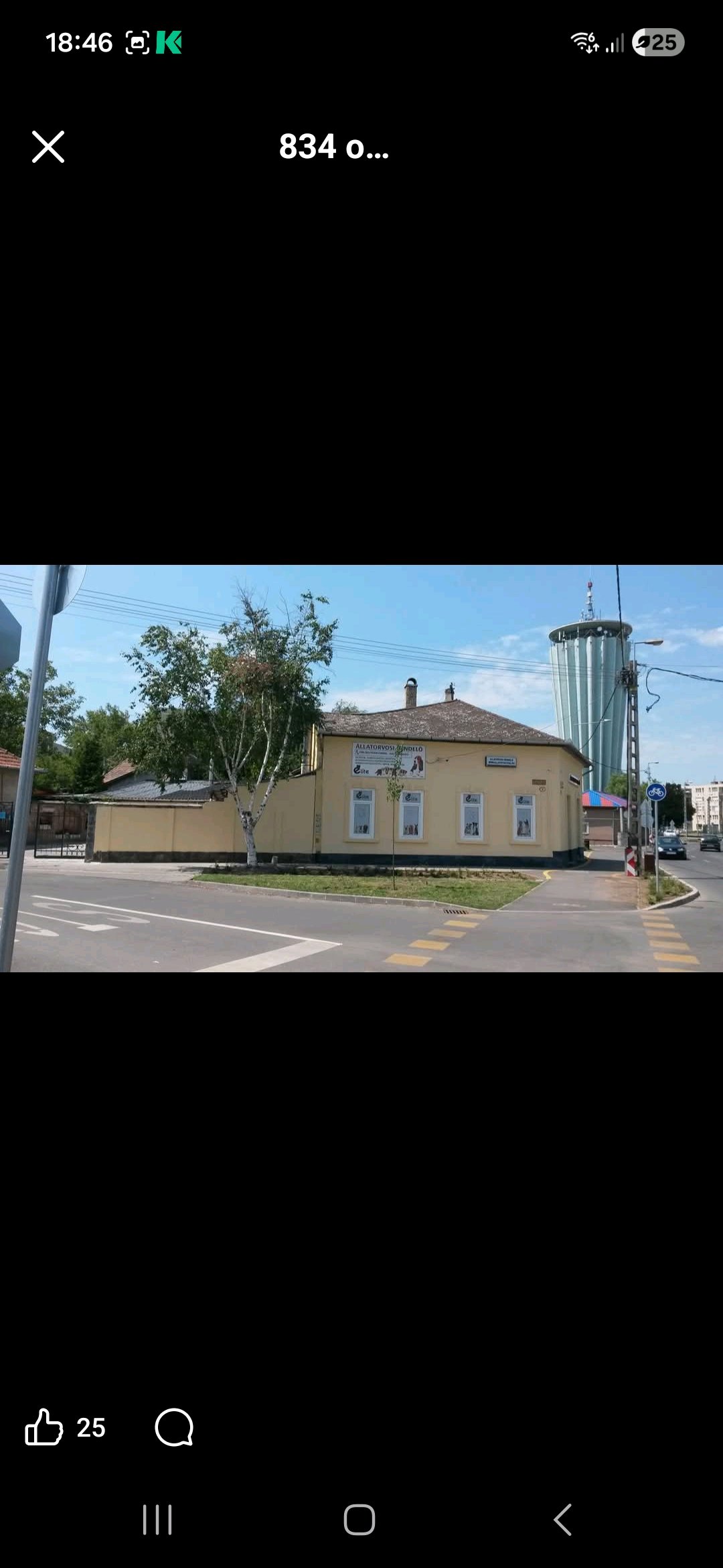 Elite Állatorvosi Rendelő galéria kép