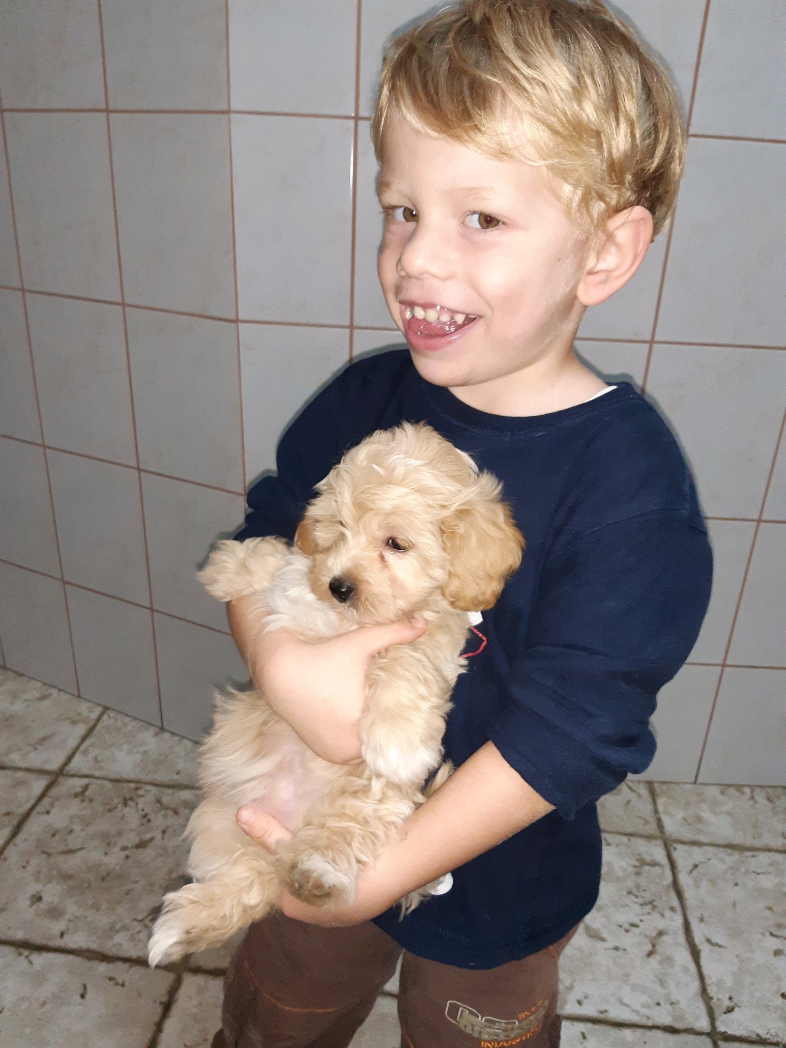 Elite Állatorvosi Rendelő galéria kép