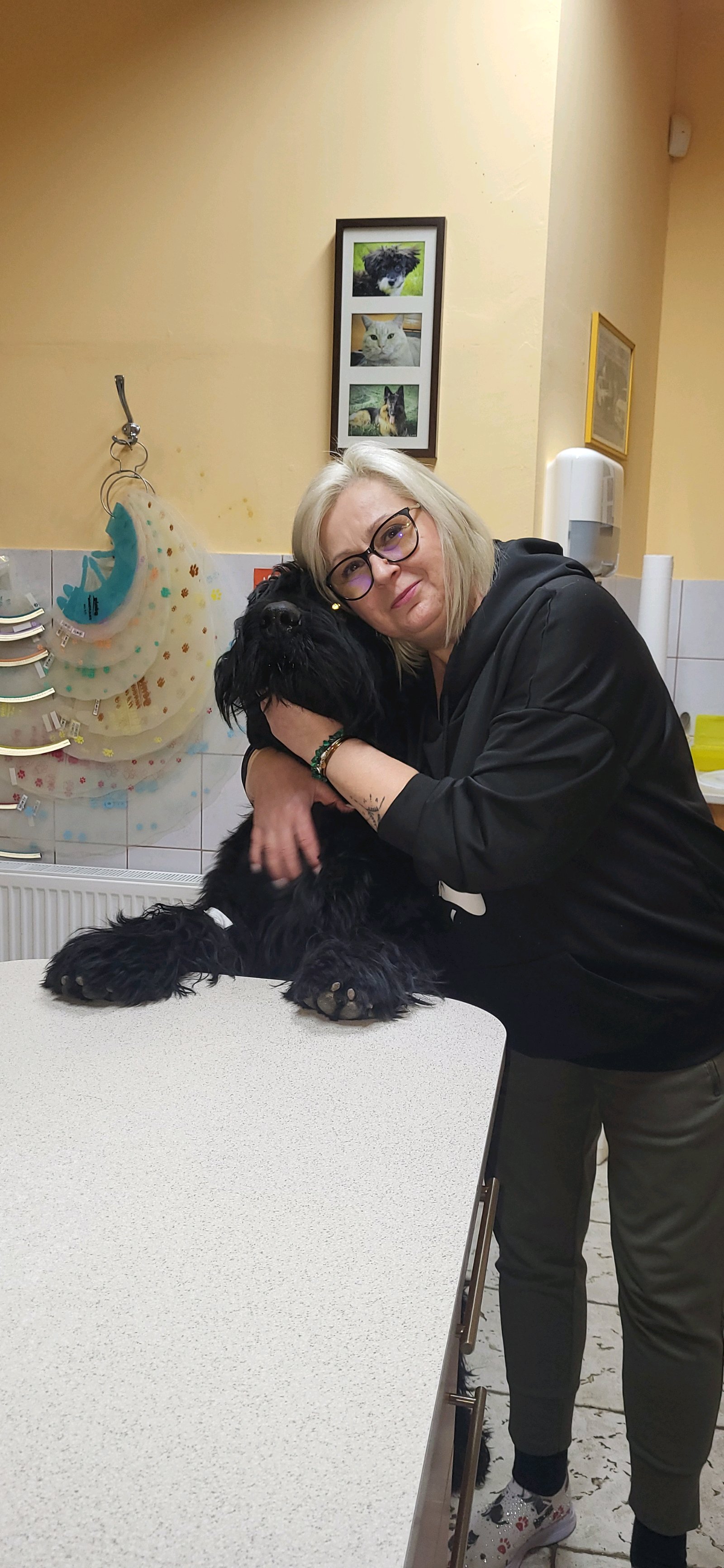 Elite Állatorvosi Rendelő galéria kép