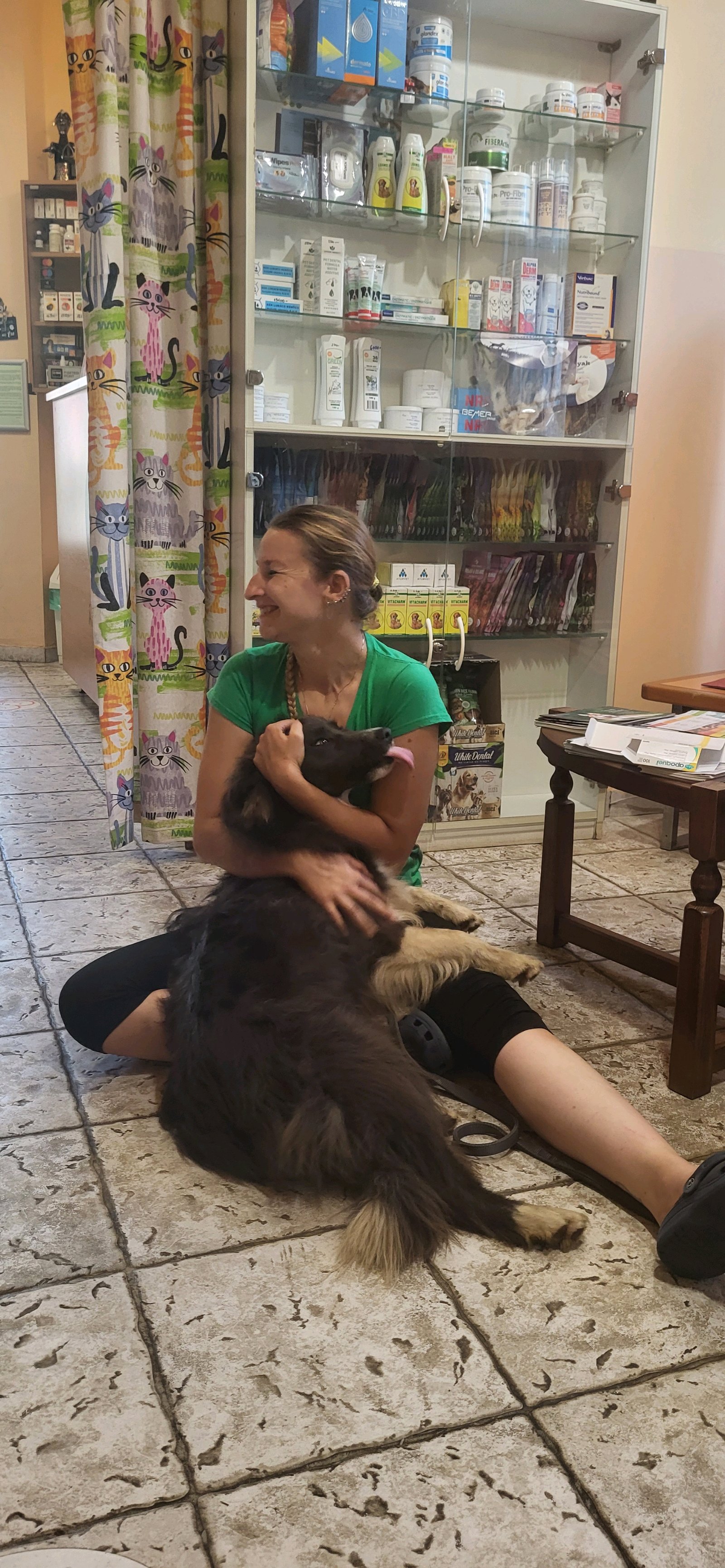 Elite Állatorvosi Rendelő galéria kép