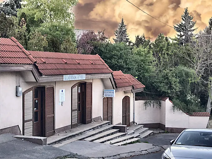 Wladár Kisállat Rendelő, profilképe