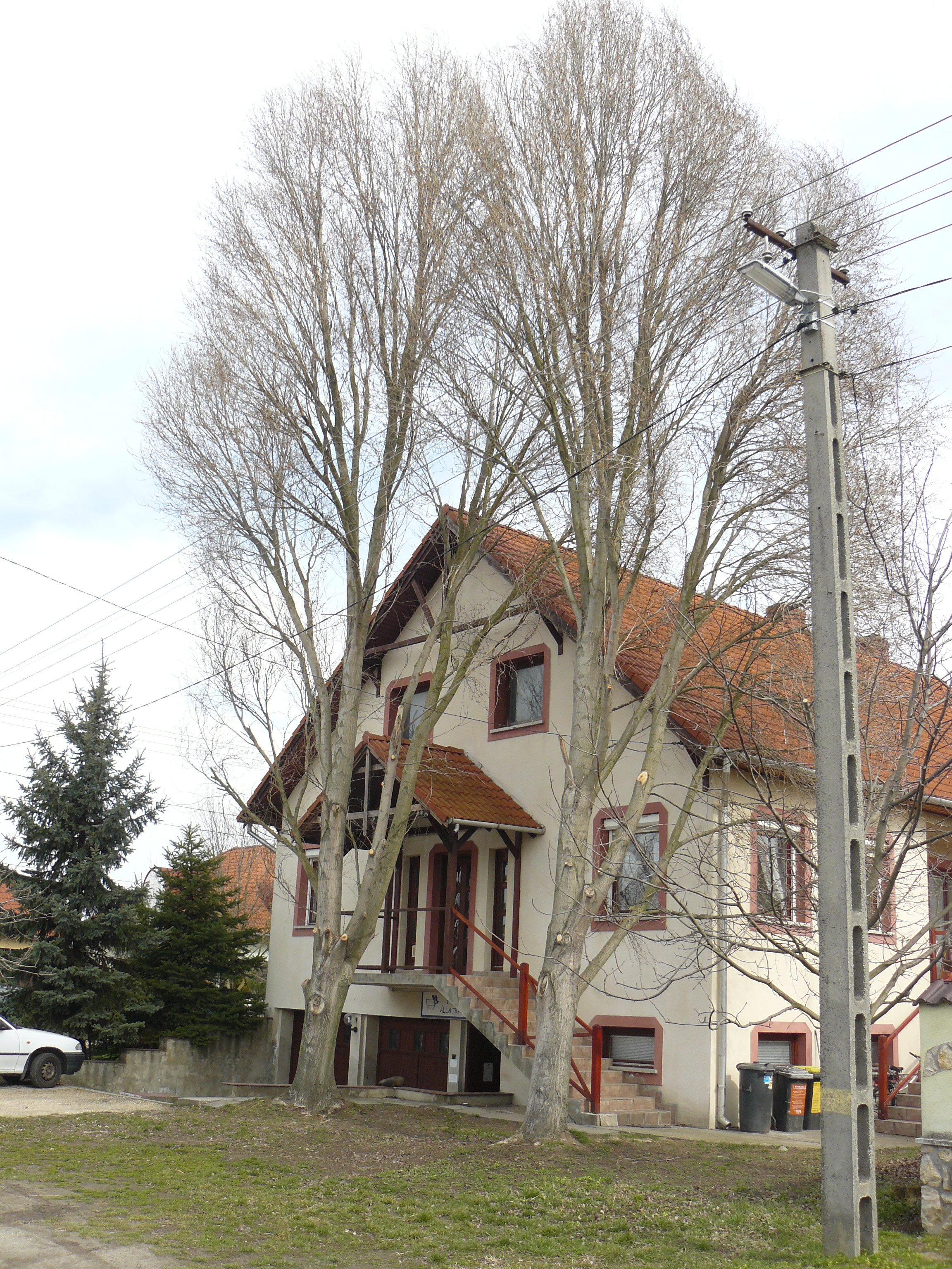 Tapmancs Állatbarát Rendelő