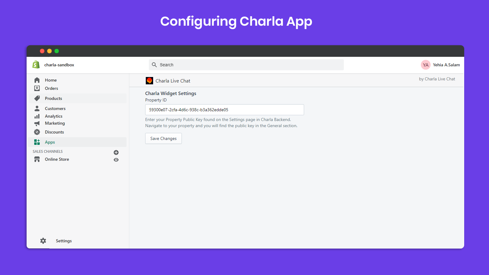 Charla Live Chat screenshot 3