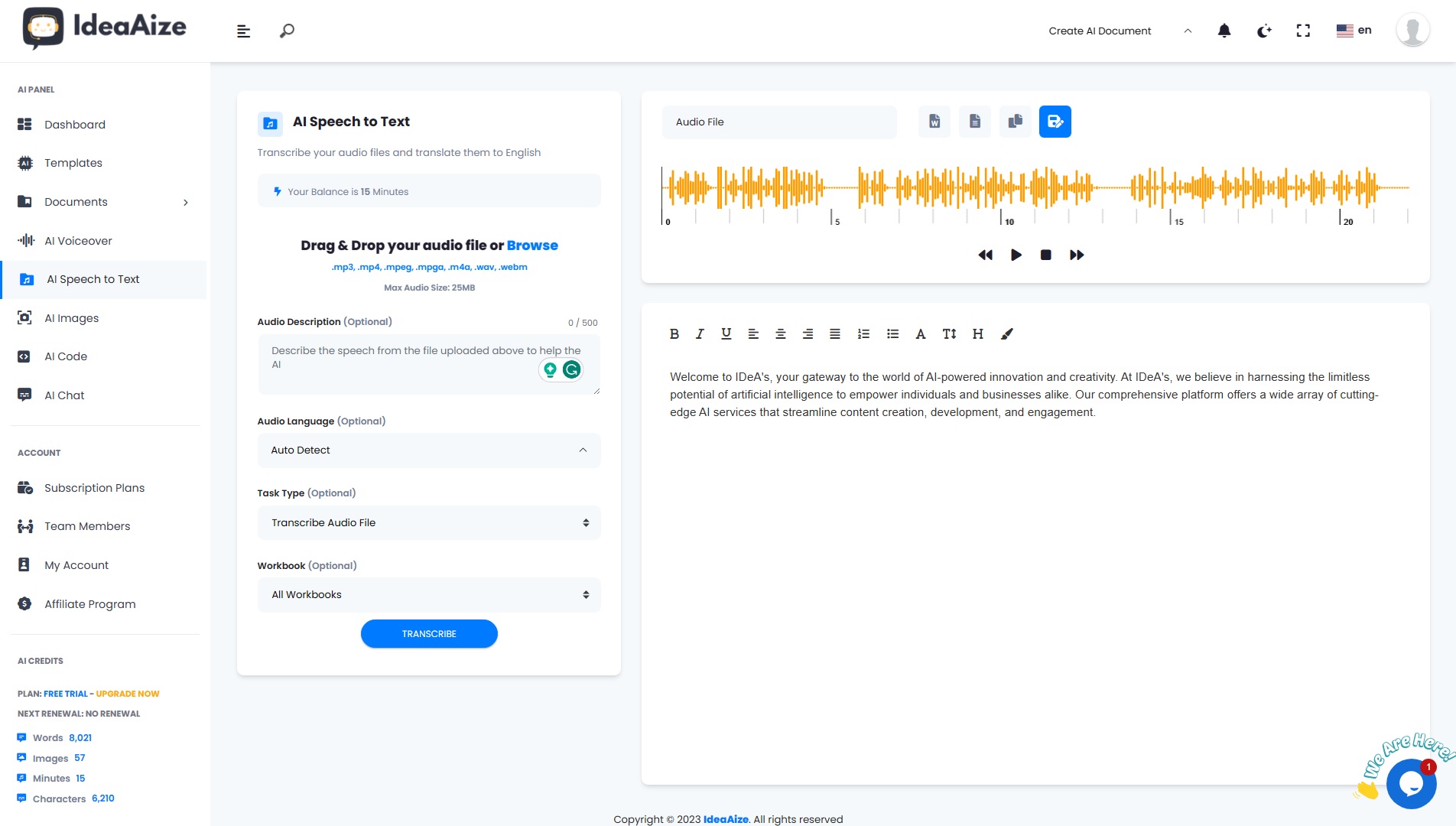 Ideaaize AI solutions screenshot 6