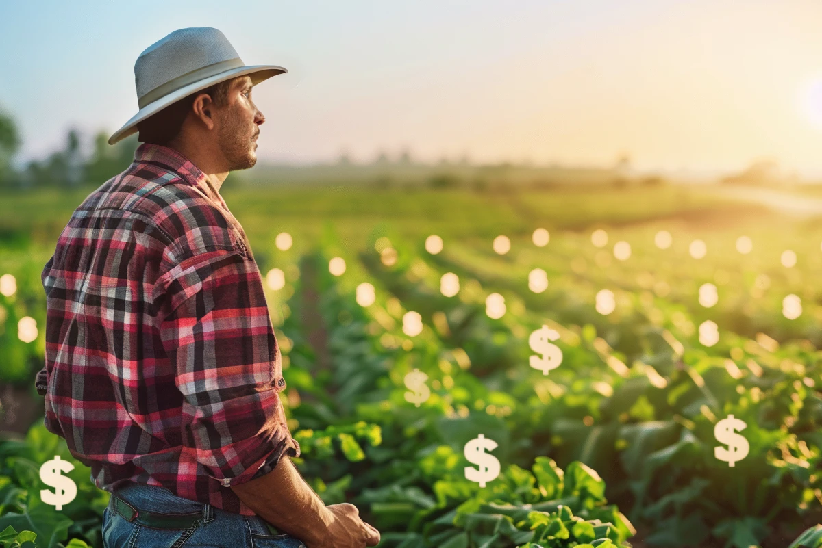 Boost Your Returns with Tax-Loss Harvesting Strategies