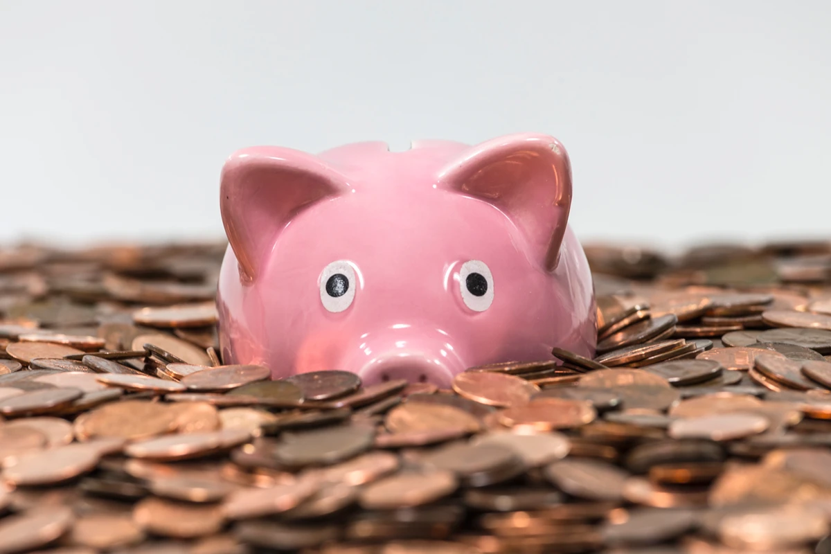 Pink piggy bank on pile of coins