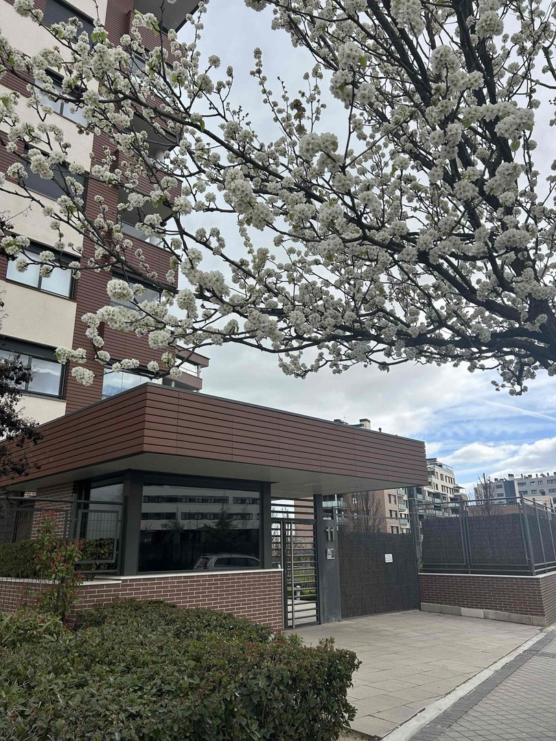 MONTEALISO 4 dormitorios