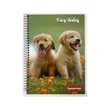 Cuaderno Grande con Espirales
