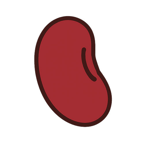 Adzuki Bean