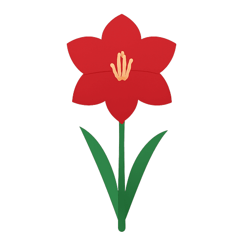 Amaryllis