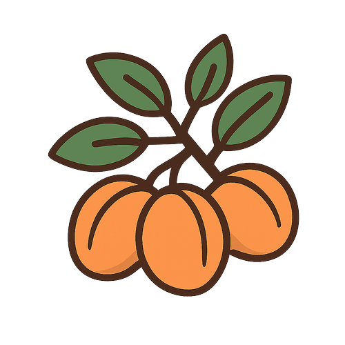 Apricot