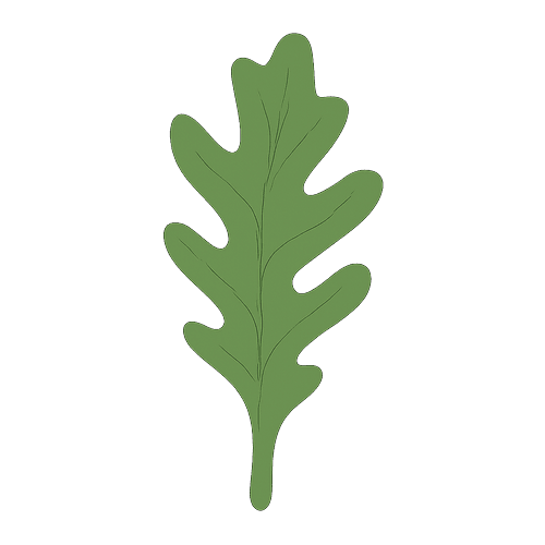 Arugula
