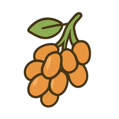 Baked Beans