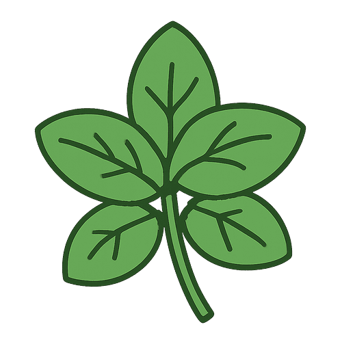 Basil