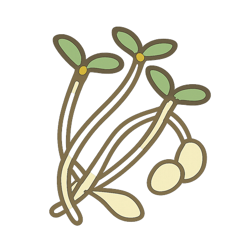 Bean-Sprouts