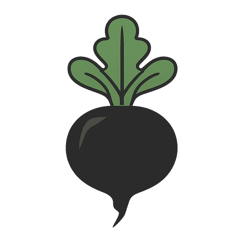 Black Radish