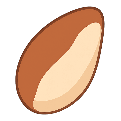 Brazil Nuts