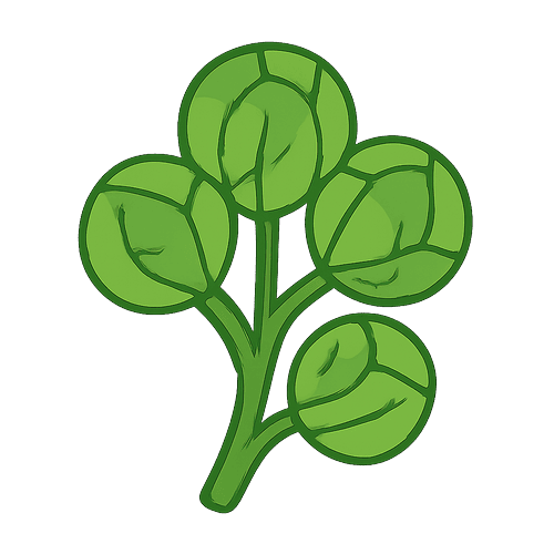 Brussels-Sprouts
