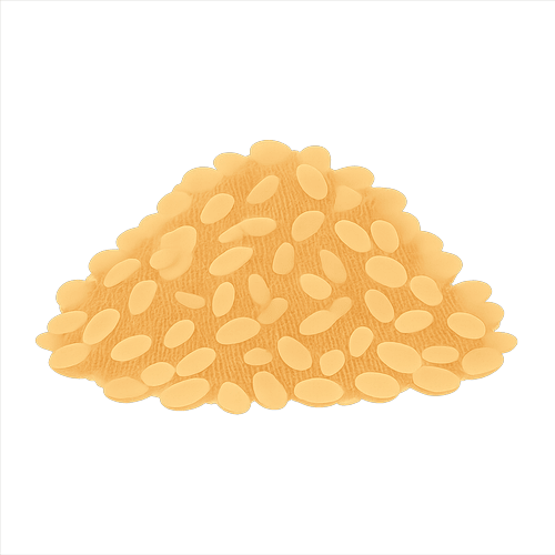 Bulgur