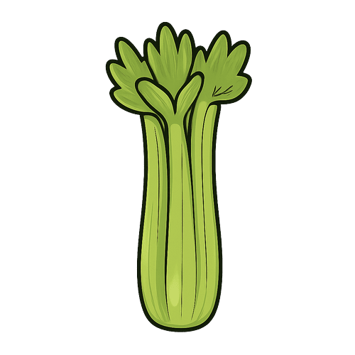 Celery