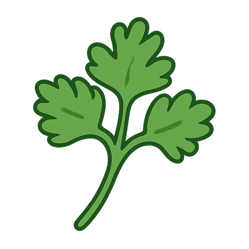 Cilantro