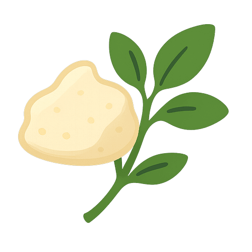 Creamy Caesar Dressing