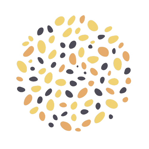 Everything Bagel Seasoning
