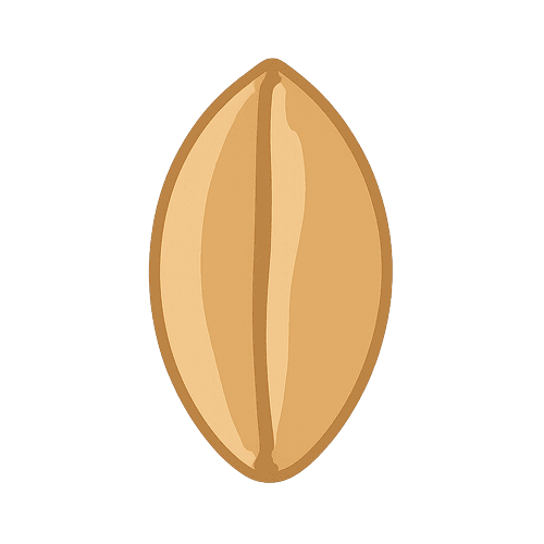 Farro