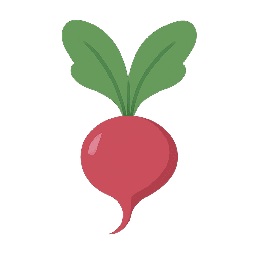 French Breakfast Radish