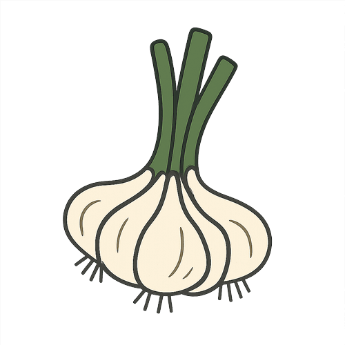 Garlic