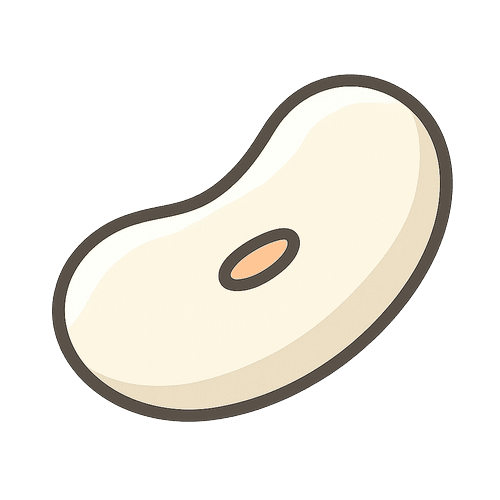 Great Northern Bean