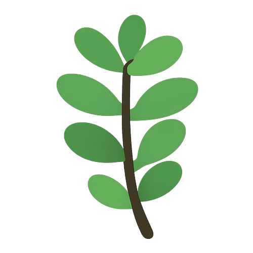 Jade Plant