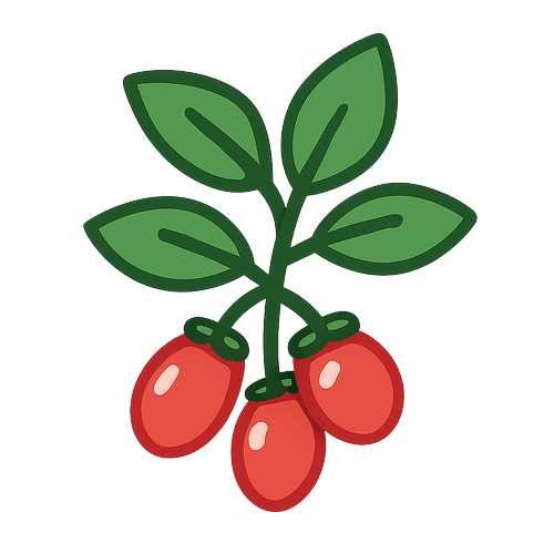 Ketchup
