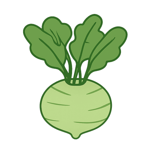 Kohlrabi