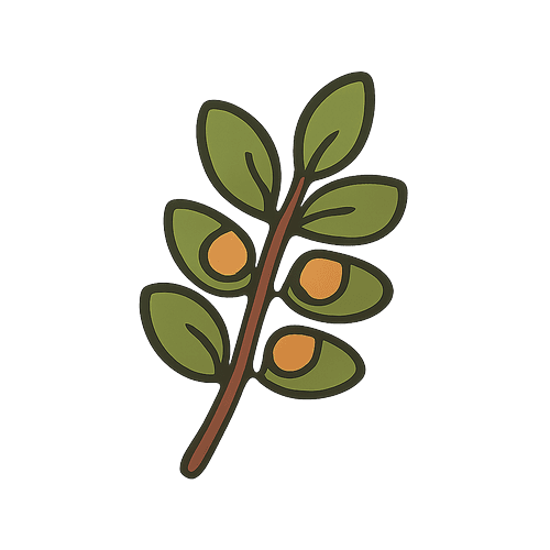 Lentil Soup