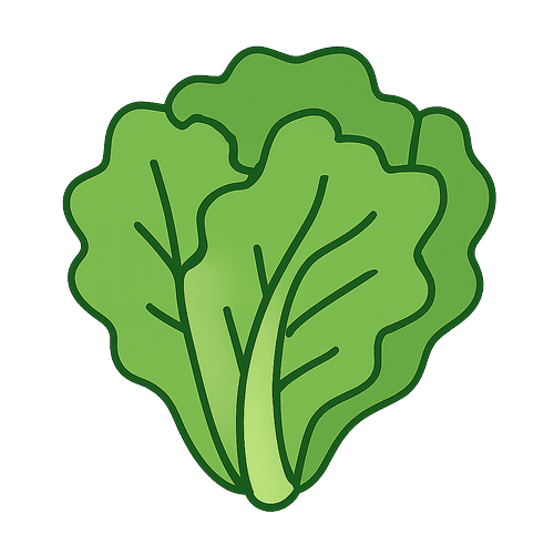 Lettuce