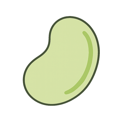 Lima Bean