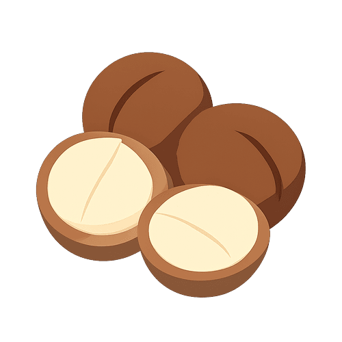 Macadamia Nuts