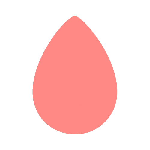 Makeup Sponge