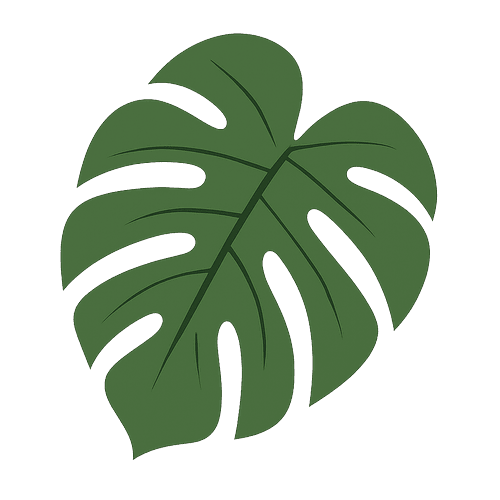 Monstera