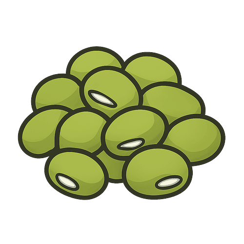 Mung Bean